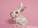 happyrabbit_1a.jpg