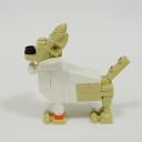 chihuahua01b.jpg