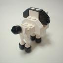 poodle01c.jpg