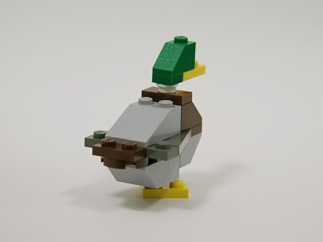 mallard_01b.jpg