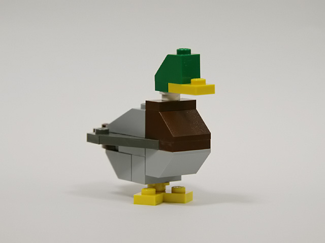 mallard_01d.jpg