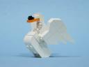 MuteSwan-04