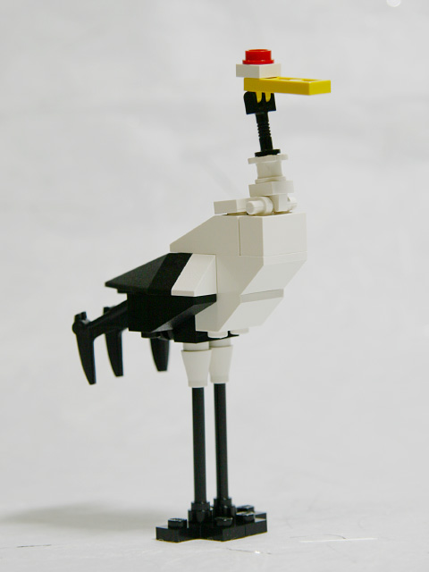 japanesecrane_05a.jpg
