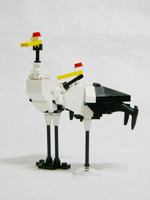 japanesecrane_00a.jpg