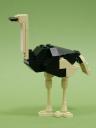 Ostrich-01