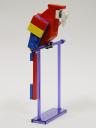 Macaw-01