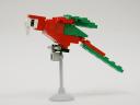 Macaw-03