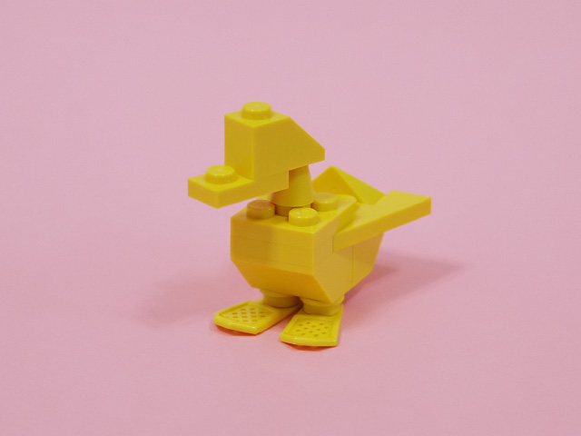 duck_02a.jpg