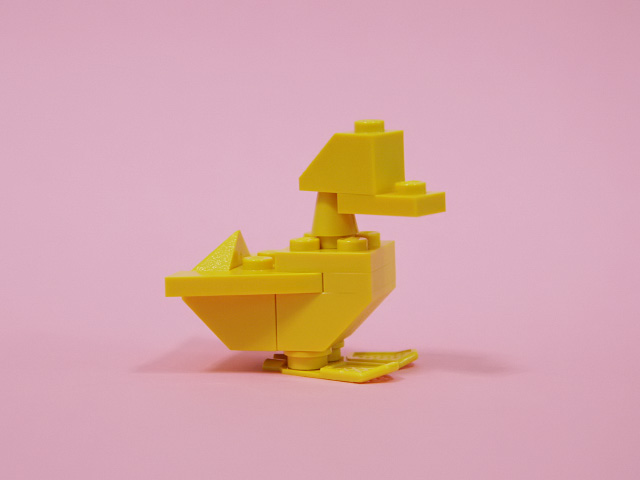 duck_02b.jpg
