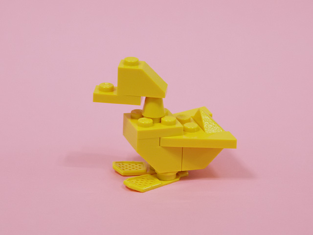 duck_02c.jpg