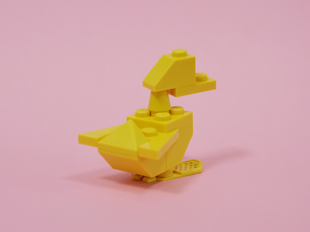 duck_02d.jpg