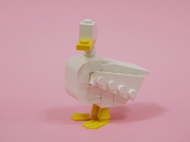 duck_03a.jpg