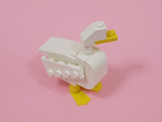 duck_03b.jpg