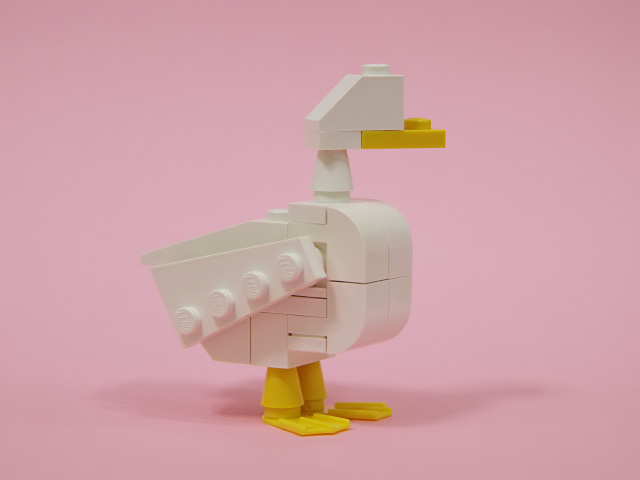 duck_03c.jpg
