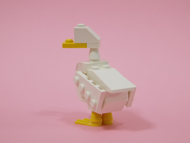 duck_03d.jpg