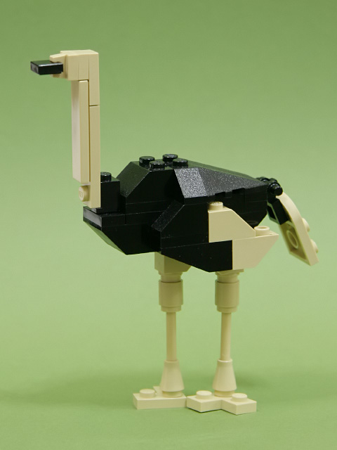 06ostrich_a.jpg