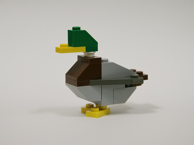 08mallardmale_a.jpg