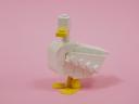 17-Duck