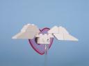 valentine2005_heartsource2.jpg