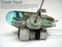 01-cane-toad.jpg