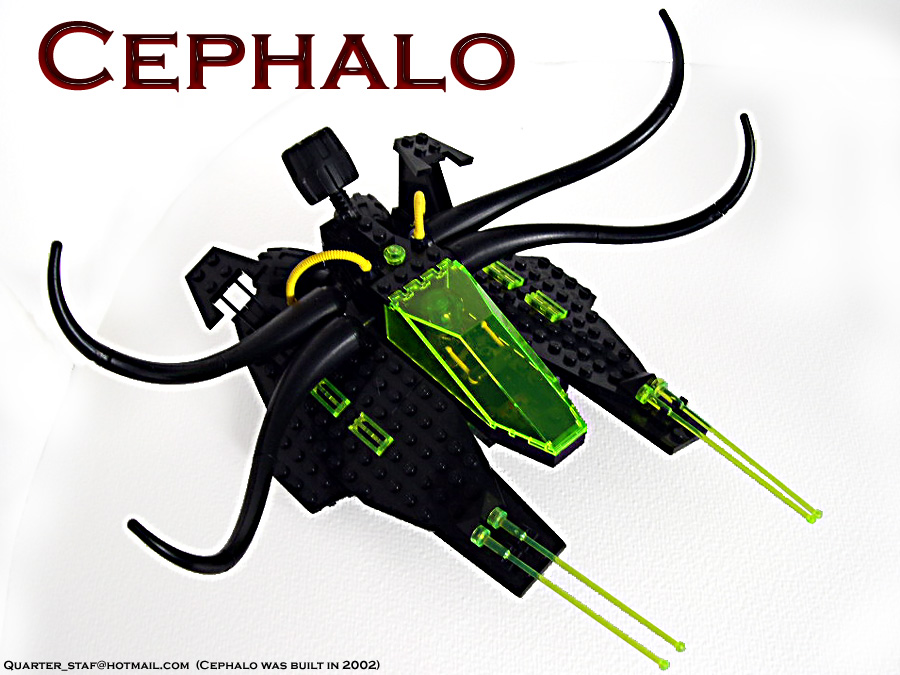 01-cephalo.jpg