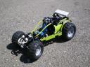 Buggy-alternate-8284