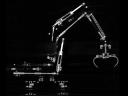 X-ray-42006