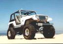 wrangler1.jpg